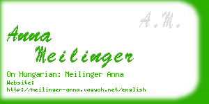 anna meilinger business card